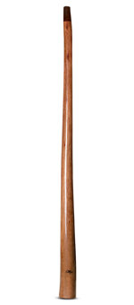 Tristan O'Meara Didgeridoo (TM255)